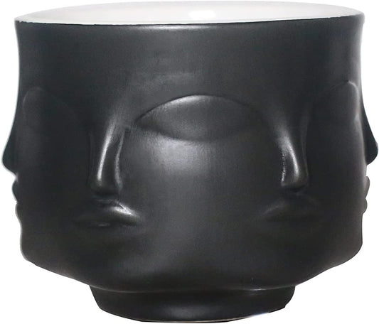 Face Flowers Plant Pots Vase