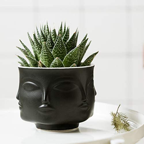 Face Flowers Plant Pots Vase