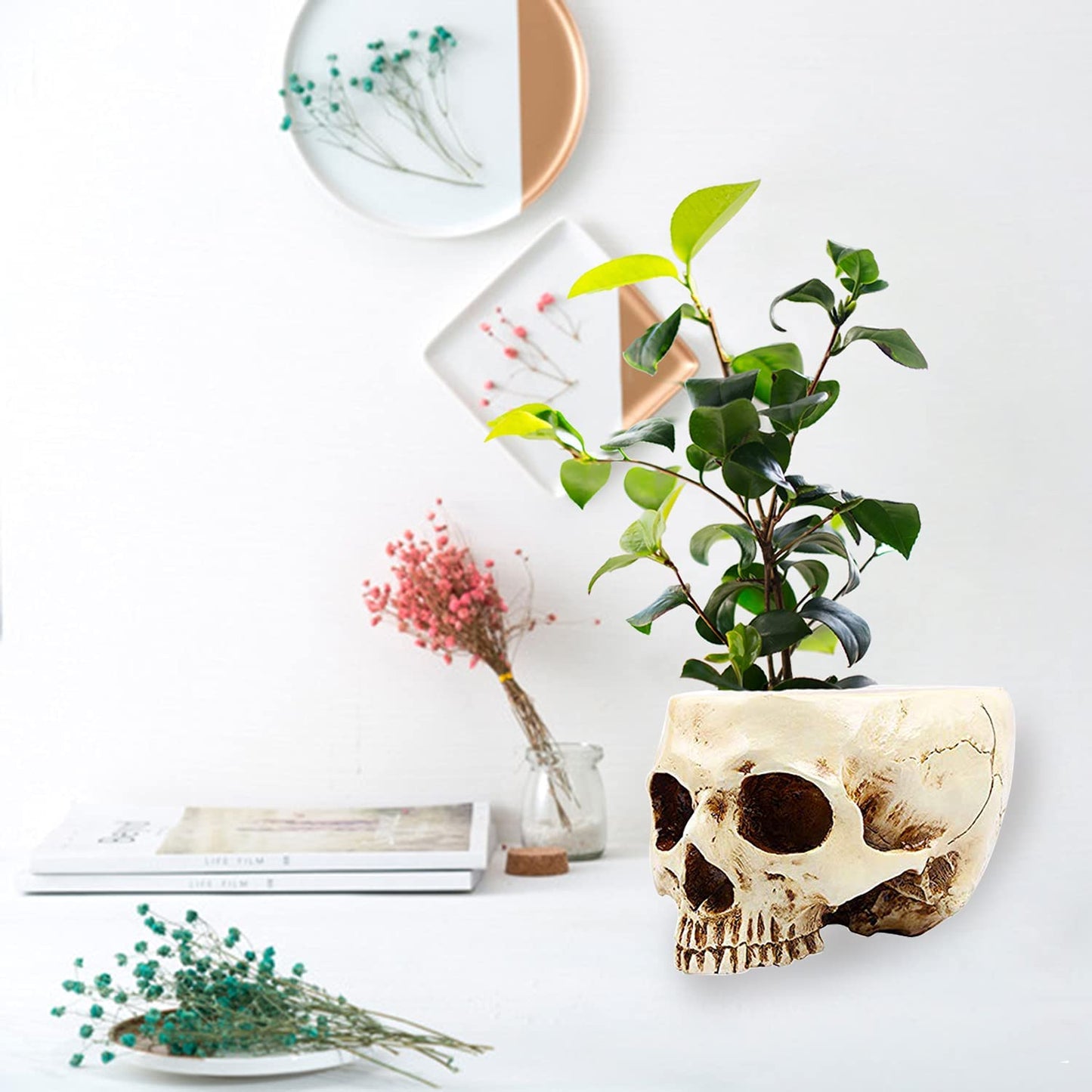 Human Skull Head Plant Pot